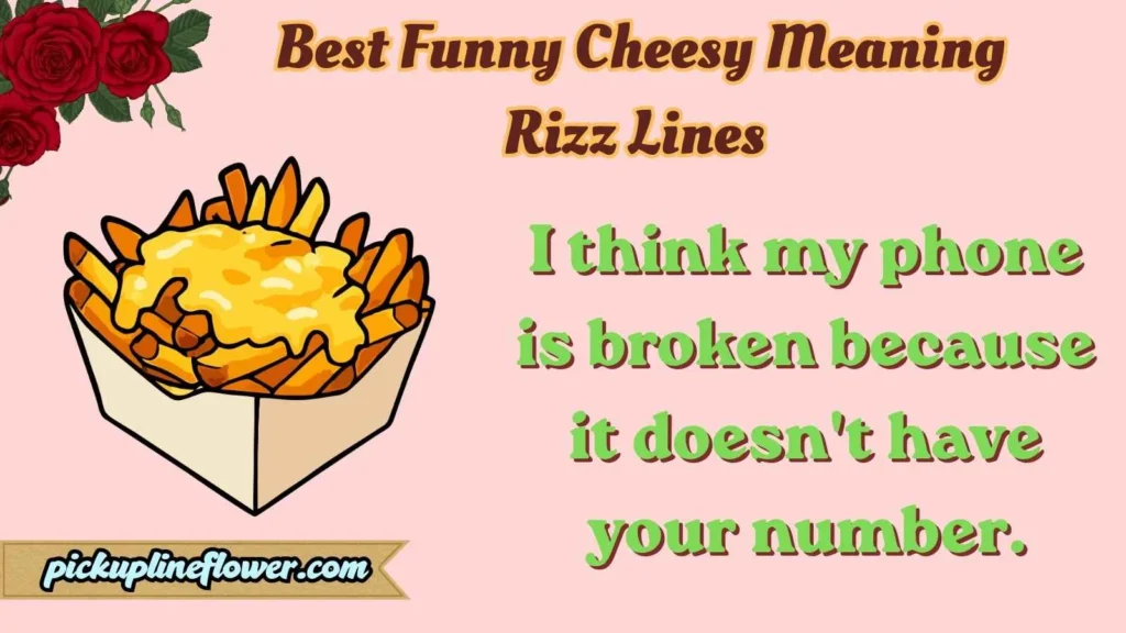 Best Funny Cheesy Meaning Rizz Lines